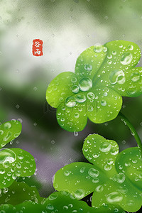 露珠叶子插画图片_二十四节气之谷雨