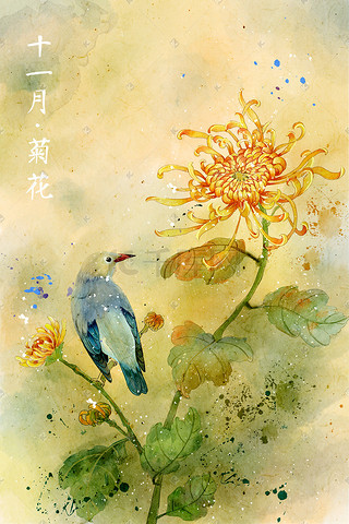 花信插画图片_水彩花鸟画十一月花信十一月-菊花