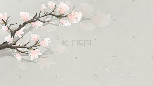 小图案背景插画图片_中国风花朵玉兰花背景图海报