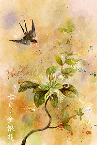 花信插画图片_水彩花鸟画十二月花信-七月 金银花