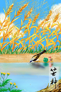 ,喝水插画图片_二十四节气芒种麦子熟了鸟喝水女孩推梅子图