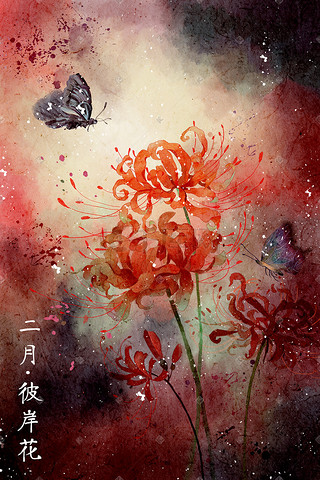 花信插画图片_水彩花鸟画十二月花信二月彼岸花