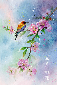 淘宝三月插画图片_水彩花鸟画十二月花信-三月桃花