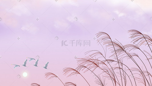 粉色芦苇插画图片_秋天粉色秋季白露节气背景