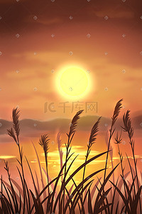 美景温暖插画图片_秋天治愈美景夕阳芦苇太阳天空背景