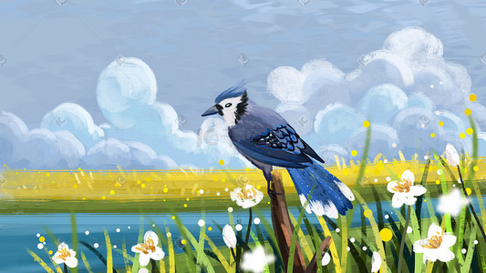 春天花鸟手绘背景