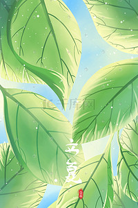 植物叶子绿色卡通插画图片_绿色唯美卡通小清新夏季立夏24节气配图