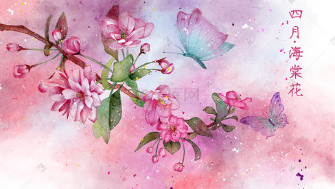 水彩花鸟画十二月花信之四月海棠花