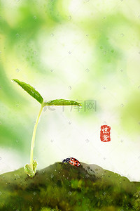 虫子植物插画图片_二十四节气之惊蛰