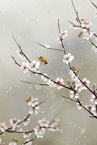 蜜蜂蜂王插画图片_春天桃花蜜蜂阳光工笔
