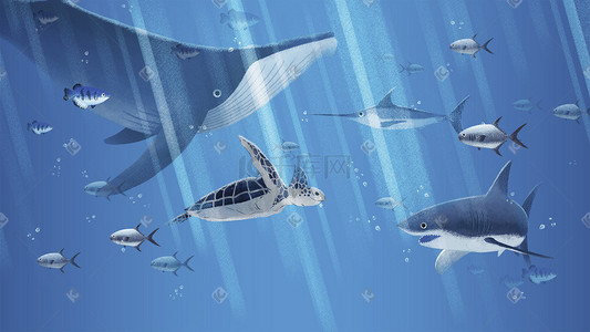 鲨鱼击鼓插画图片_蓝色海底世界手绘插画