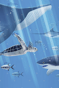 大海海龟插画图片_蓝色海底世界手绘插画