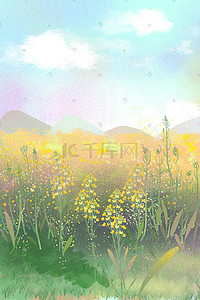 黄色油菜插画图片_黄色油菜花海风景