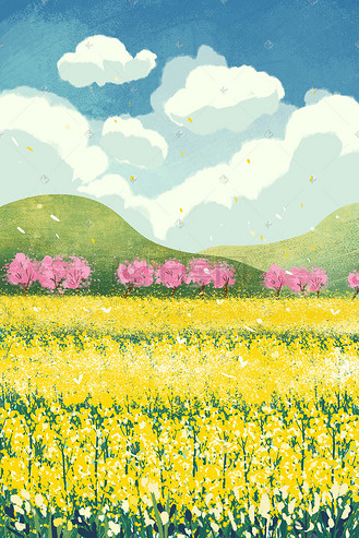 油菜花地