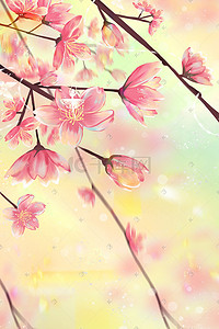 樱花朵插画图片_春季樱花季唯美暖色治愈背景