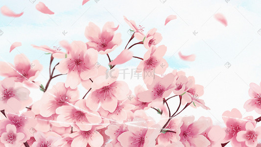 春景节插画图片_樱花节春天樱花特写粉色唯美插画花朵花