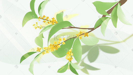 桂花乌龙茶茶叶插画图片_夏天绿色治愈小清新桂花夏季唯美