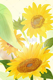 玩耍太阳花玩耍阳光向日葵插画手绘