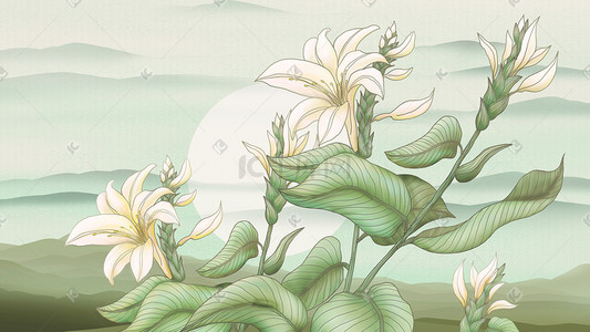 手绘植物叶子插画图片_百合花手绘植物写实