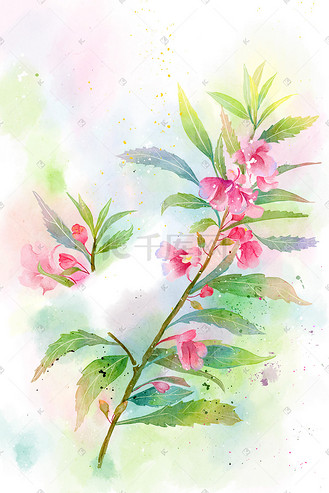 水彩梦幻小清新花朵凤仙花古风水墨中国风