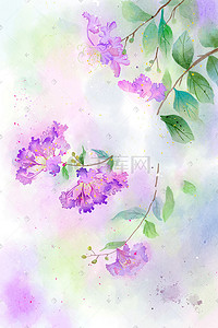 水彩画十二月花信之六月紫薇花