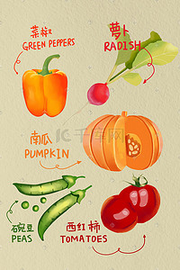 健康食品插画图片_食物蔬菜健康食品