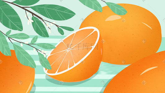 小清新唯美水果橙子手绘风格插画