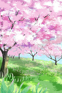 春季樱花浪漫盛开野外旅游草地公园花朵花