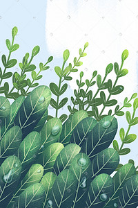 自然背景手绘插画图片_绿色植物手绘插画
