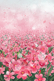 小清新唯美花朵夏天治愈粉色花海景色