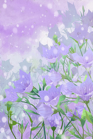 紫色浪漫桔梗花唯美手绘
