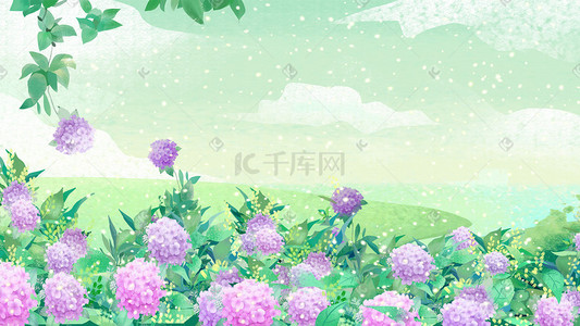 夏天紫色绣球花风景手绘