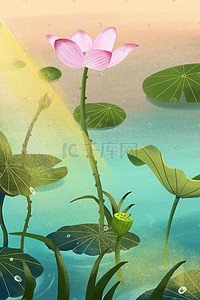 植物粉色荷花插画图片_小满池塘荷花荷叶阳光