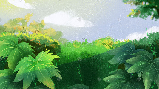 春天森林棕榈叶绿色植物夏天风景图