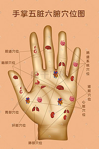 手掌的手势插画图片_人体医疗组织器官手掌穴位示意图插画科普