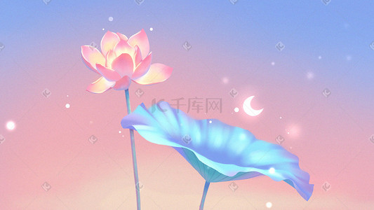 鲜花花语真情玫瑰插画图片_青语莲花花开萤霞