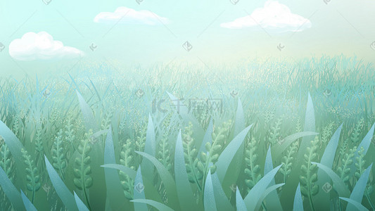 小清新麦子插画图片_小清新夏季小满植物水稻麦子场景