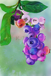 水彩手绘水果之蓝莓