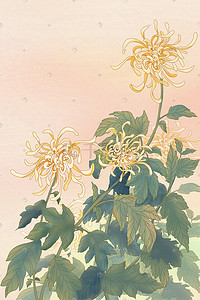 二十四节气古风插画图片_中国风菊花古风二十四节气秋分