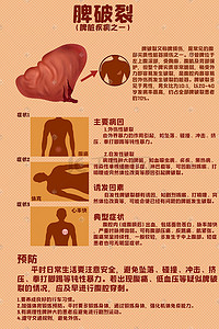 人体医疗组织器官脾脏脾破裂科普