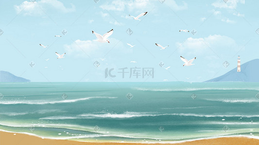 夏天海边沙滩看海鸥