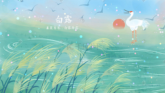 白鹭湖插画图片_传统二十四节气白鹭