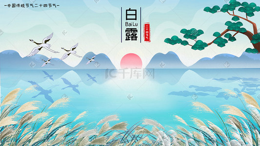 白露二十四节气插画图片_白露二十四节气白鹤芦苇插画背景素材