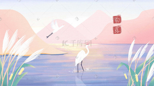 白鹭插画图片_暖色系橘色调芦花荡与白鹭夕阳照水