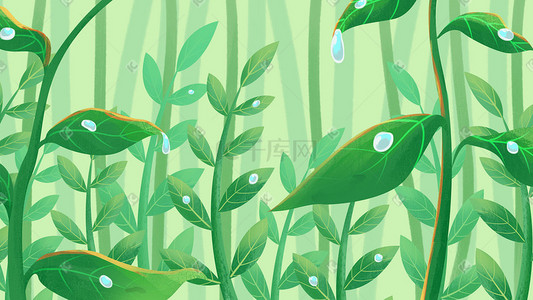 水滴视频插画图片_绿色水滴阳光树露水露珠绿叶唯美风景
