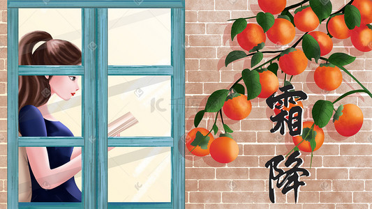 柿子树插画图片_霜降节气手绘柿子树窗内看书