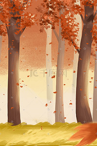 秋天秋季深秋枫树林唯美落叶风景图