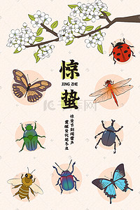 昆虫插画图片_二十四节气惊蛰春天梨花昆虫