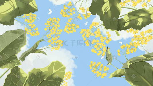 春天油菜花插画图片_春天油菜花仰视治愈系插画