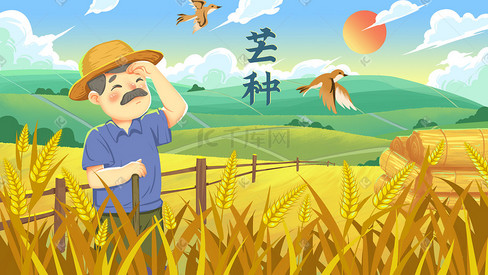 芒种小麦麦芒丰收农民劳动风景金色麦浪麦子